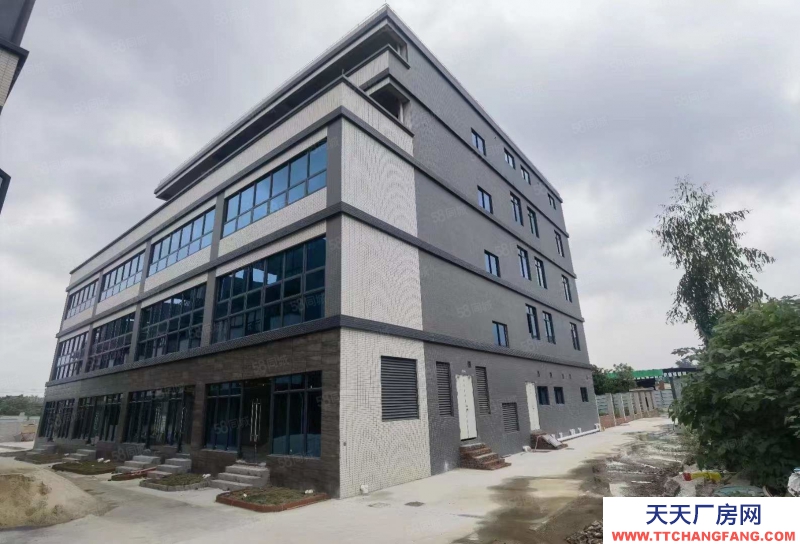 (出租) 广州白云江高南岗村物业低价推出9千方楼层仓可做直播电商教育大小可分租