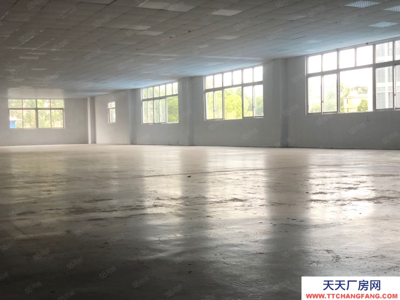 (出租) 广州增城新塘镇新出厂房9200方独门独院出租证件齐全大小可分