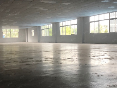 (出租) 广州增城新塘镇新出厂房9200方独门独院出租证件齐全大小可分图4