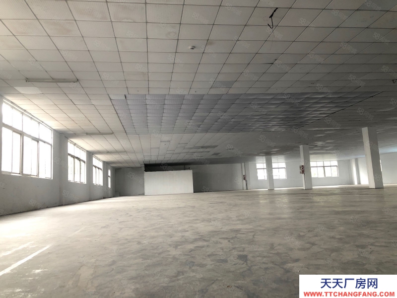 (出租) 广州增城新塘镇新出厂房9200方独门独院出租证件齐全大小可分