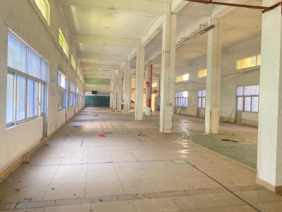 (出租) 广州黄埔开发区东单一层1300方低价出租图2