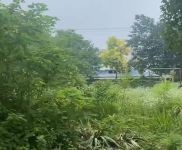 (出售) 荆州监利厂房 18.2亩 4000平钢混厂房办公楼 有行吊