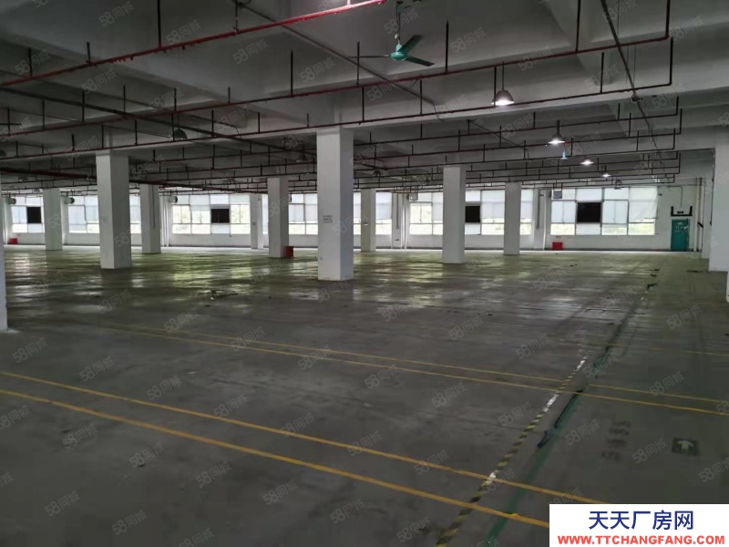 (出售) 业主急售广州黄埔区个人业主园区工业厂房8000平独栋出售或出让
