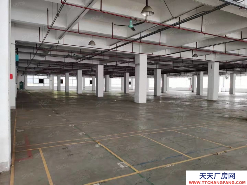 (出售) 业主急售广州黄埔区个人业主园区工业厂房8000平独栋出售或出让