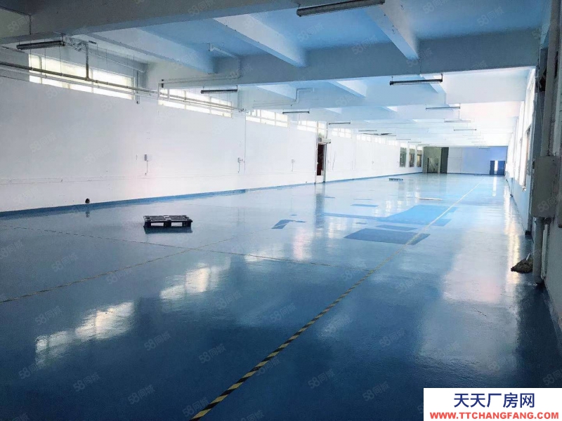 (出售) 广州白云江高工业区独院厂房8100平方出售