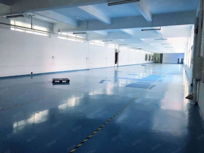 (出售) 广州白云江高工业区独院厂房8100平方出售图2