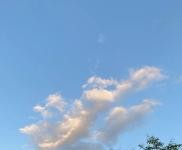 (出租) 荆州石首办公，宿舍，一应俱全。临东方大道，交通便利，