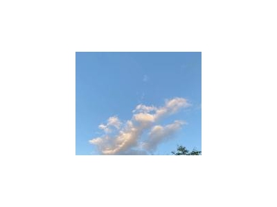 (出租) 荆州石首办公，宿舍，一应俱全。临东方大道，交通便利，图1