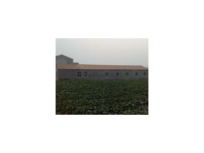 (出租) 荆州石首高基庙480²仓库厂房图2
