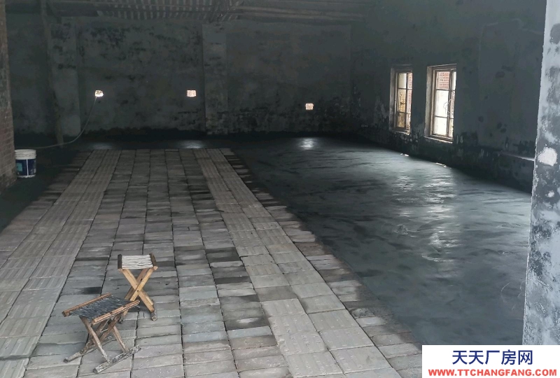 东营八分场附近，独门独院，平房，院子，仓库，厂房