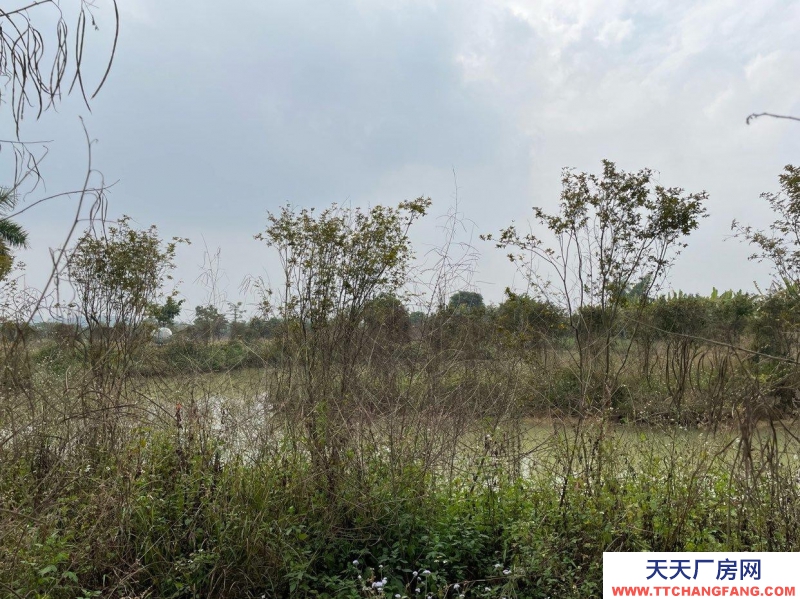 (出租)南宁市西乡塘区美丽南方培训场地出租
