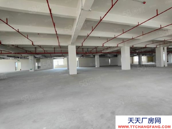苏州太仓市 昆山 苏州周边 国土50 高标厂房