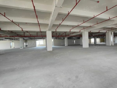 苏州太仓市 昆山 苏州周边 国土50 高标厂房图4