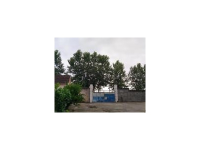 (出租) 荆州松滋之前用来加工棉花 现在是空厂房了图3