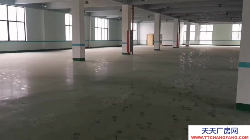 宁波江北(出租) 出租洪塘工业区1700平方，16元每平大车进出方便