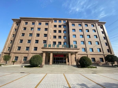 (出租) 郑州上街新乡路金华路精装办公楼出租图1