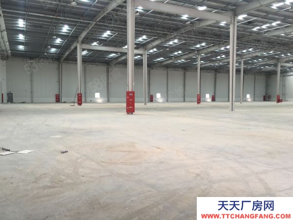 苏州市张家港 城北100000平米丙二类仓库双边出租可分租4000形象好