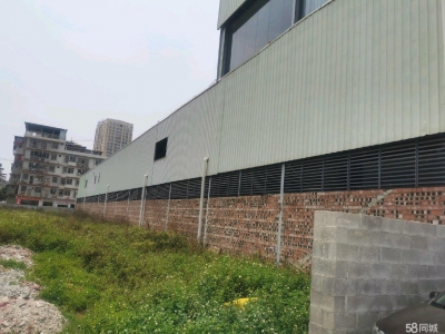 (出租)南宁市西乡塘区一楼菜市 适合做超市 烧烤城 桌游室 或者仓房图4