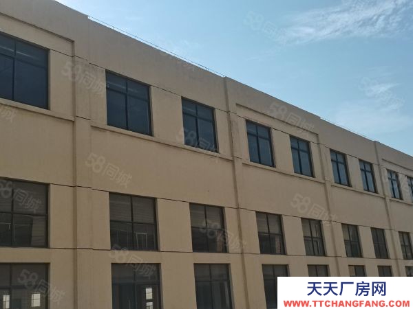 苏州市张家港保税区1楼 丙类有喷淋 3700平层 高6米 可配行车