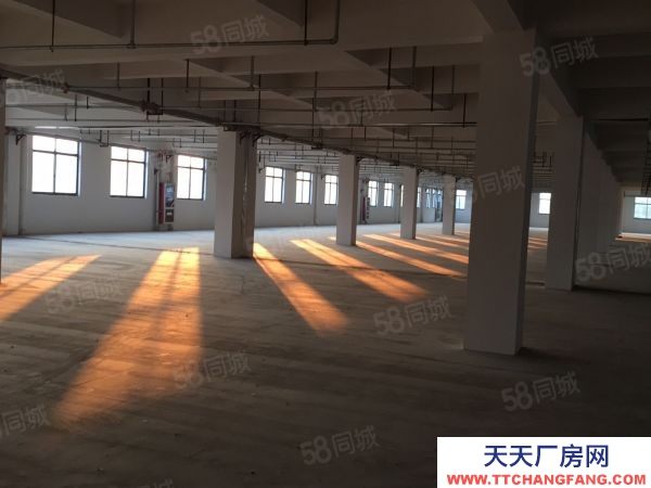 苏州市张家港保税区1楼 丙类有喷淋 3700平层 高6米 可配行车