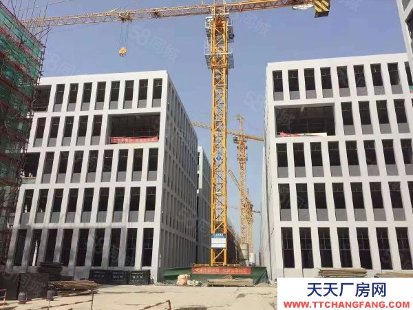 苏州市张家港乐园镇厂房火热出售中