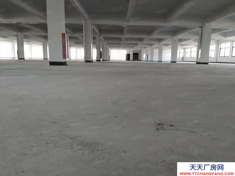 宁波江北(出租) 江北区金山路标准厂房出租