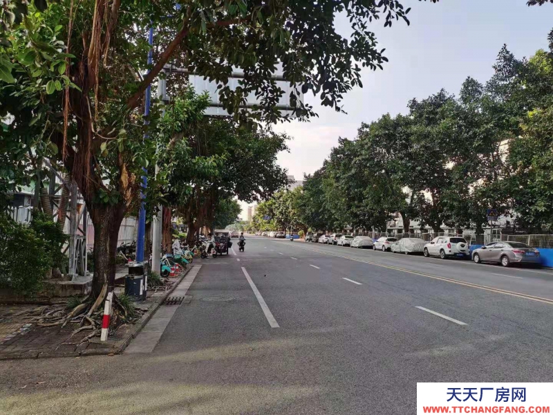 (出租)南宁市西乡塘区西乡塘高科路厂房、办公室 出租