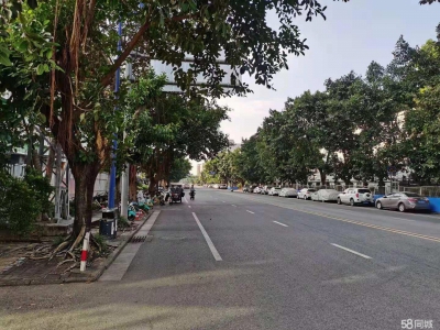 (出租)南宁市西乡塘区西乡塘高科路厂房、办公室 出租图1