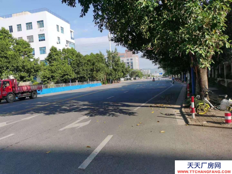 (出租)南宁市西乡塘区西乡塘高科路厂房、办公室 出租