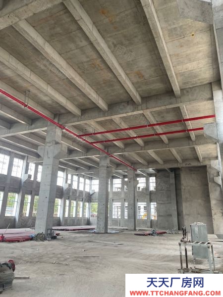 苏州市张家港后一个独栋厂房出售，50年产权，首付三成起