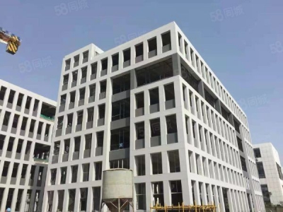苏州市张家港乐余镇厂房出售图2