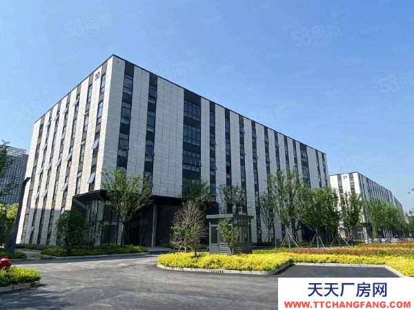 苏州市张家港50年产权全新厂房，价优性价比高