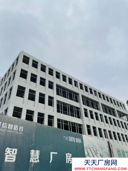 苏州市张家港标准厂房，配牛腿货梯送大露台