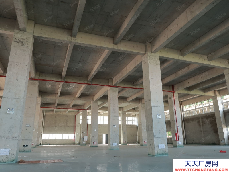 (出售) 广州白云700至3万平厂房独门独院，50年产权，M2用地，10年按揭