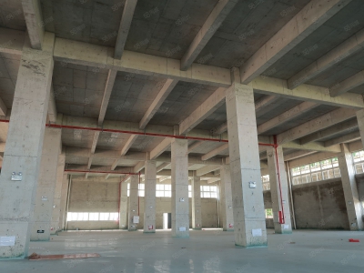 (出售) 广州白云700至3万平厂房独门独院，50年产权，M2用地，10年按揭图3