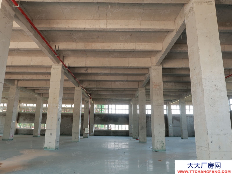 (出售) 广州白云700至3万平厂房独门独院，50年产权，M2用地，10年按揭