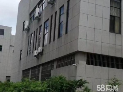 (出租) 南昌湾里区环境卫生，厂房空旷，交通便捷图3