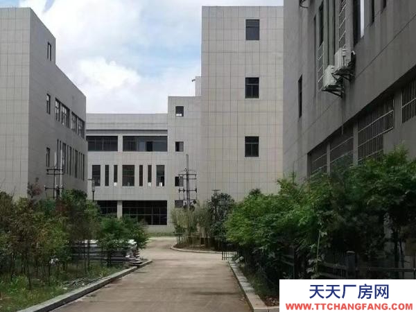 (出租) 南昌湾里区环境卫生，厂房空旷，交通便捷