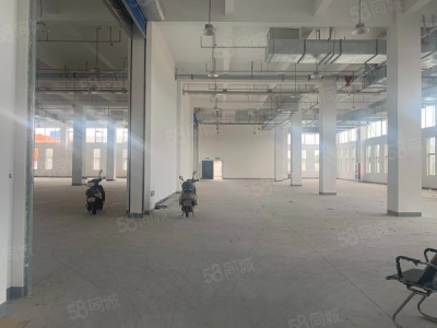 苏州市常熟市沙家浜纺织产业园出售，2750平起售，产权，面料优先图2