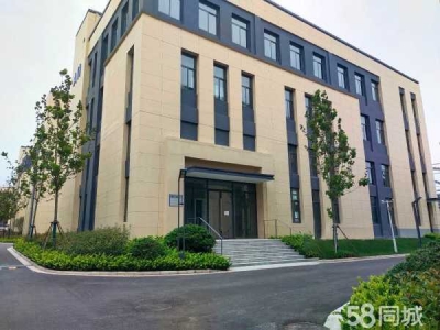 (出售) 郑州上街独栋工业厂房现房原价出售图3