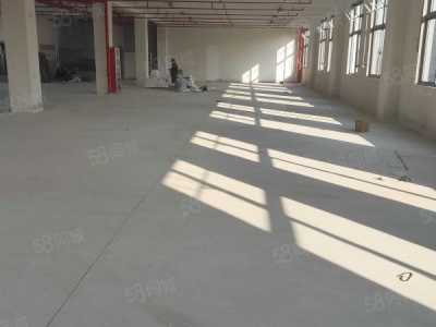 苏州市常熟市莫城底楼标准厂房出租图5
