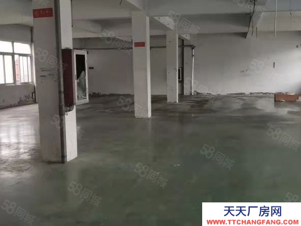 苏州市常熟市莫城三塘一楼450平适合电商仓库 环境好 车子好进出