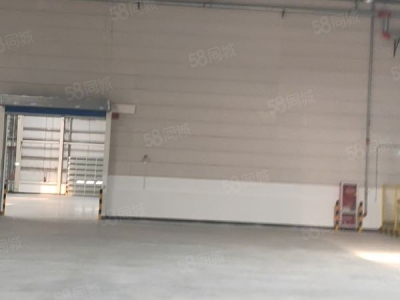 苏州市常熟单层高台库出租接受短租图4
