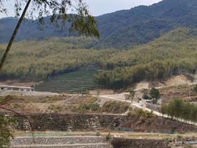 宁波江北(出售) 慈城镇老厂房。土地2000平方，房产715平方，880万图2