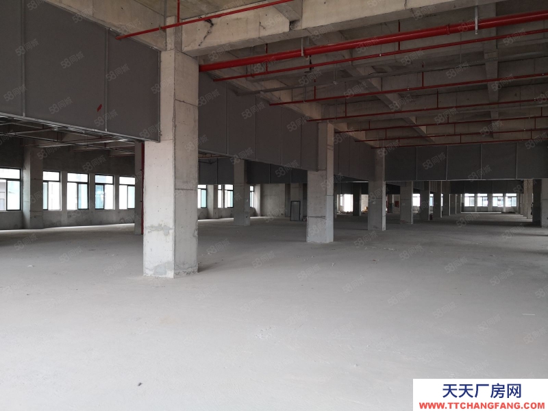 (出租) 南宁市西乡塘区高新大道全新厂房仓库，有一楼！可分租小面积，有补贴