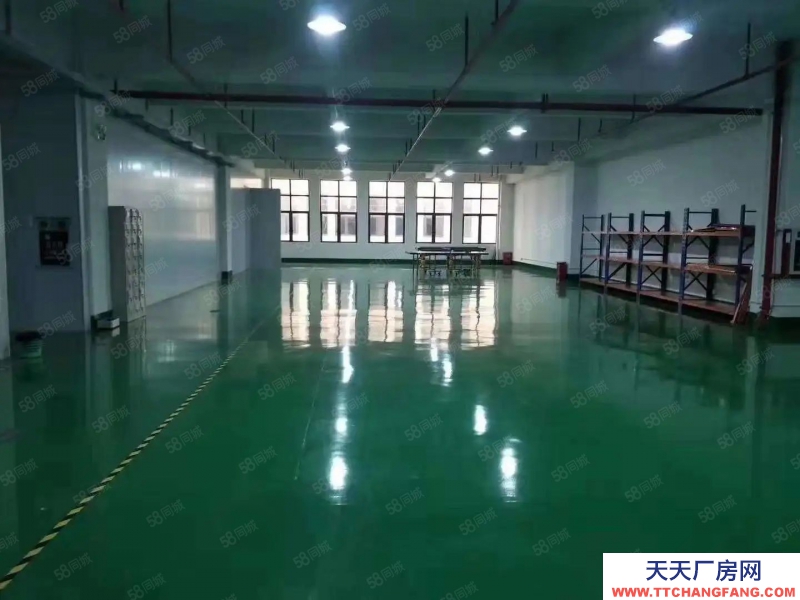 (出租) 南宁市西乡塘区高新大道全新厂房仓库，有一楼！可分租小面积，有补贴