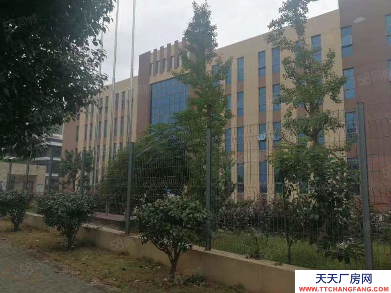 宁波江北(出售) 江北工业区12亩10000平20亩6000平多套独门独院面议