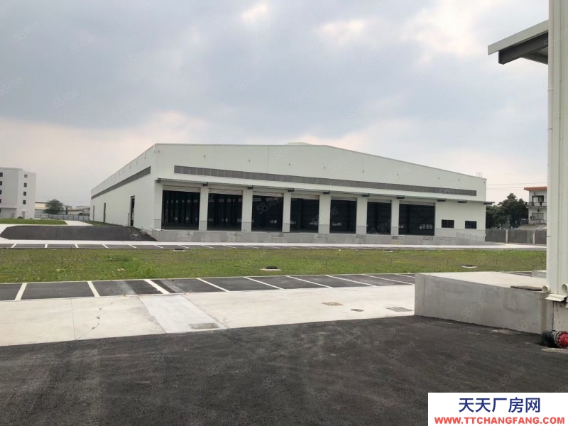 (出租) 广州南沙双面高台仓出租5000方起分租空地大适合物流配送仓储等