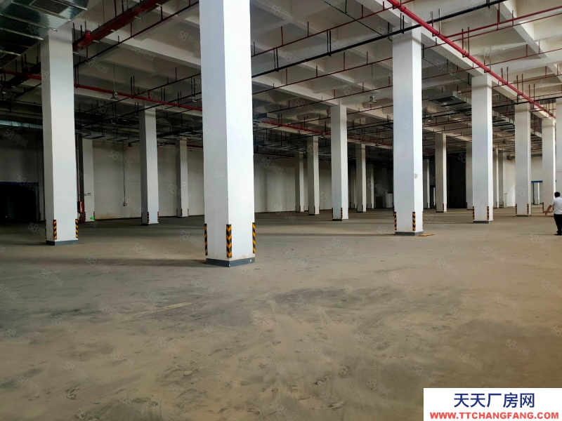 (出租) 广州黄埔文冲高台仓库出租 12000平方起分 空地大