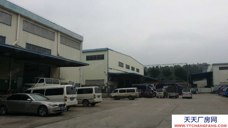 (出租) 广州黄埔萝岗区6500平标准仓，仓库运动场均可，交通便利，采光好